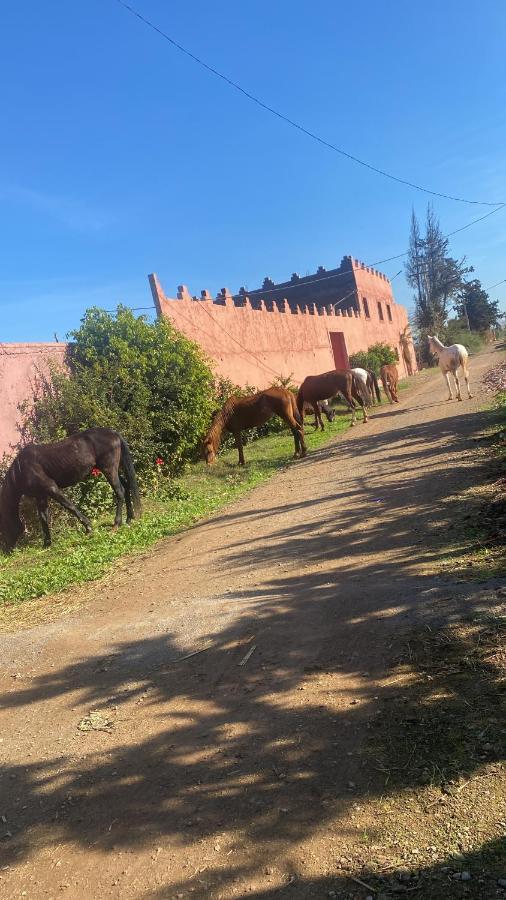 Gite Touristique Yassmine Madagh Esterno foto